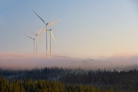 Fire vindturbiner som stikker høyt opp over et skogkledd landskap med tåkedis. 