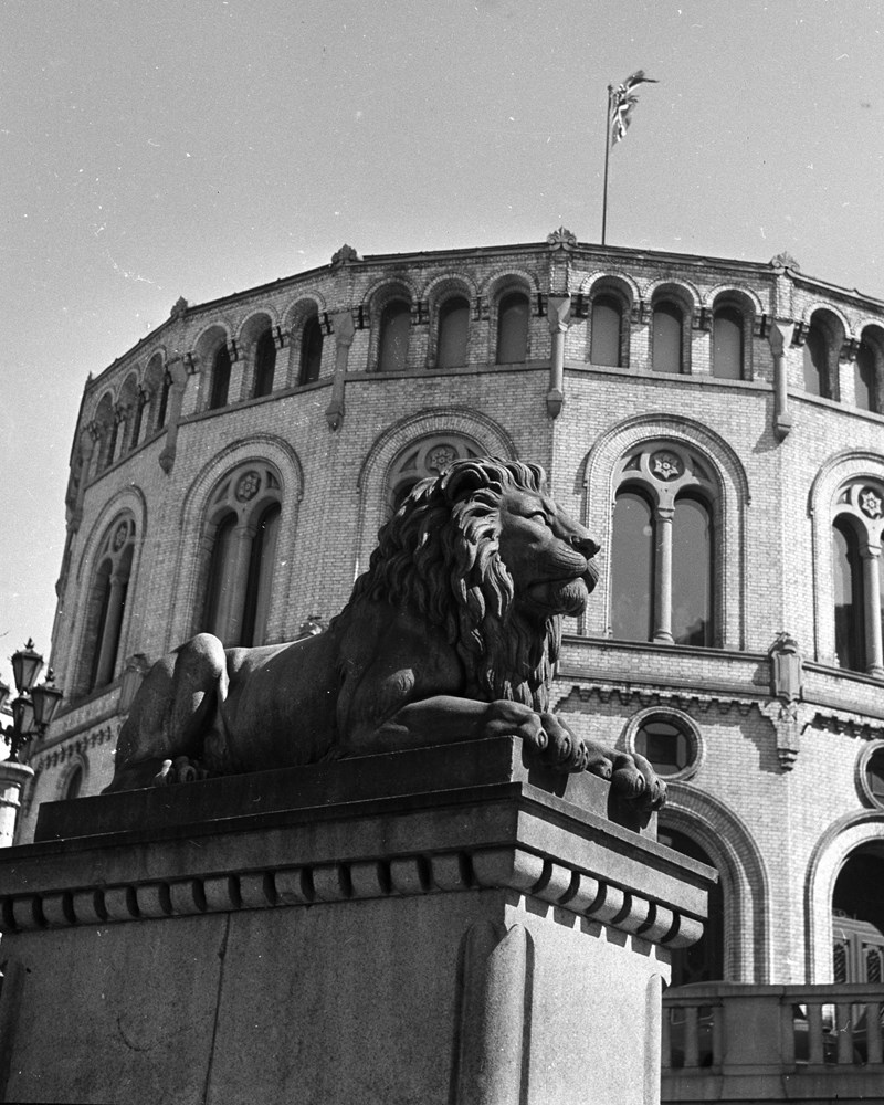 Utsnitt av Stortinget og den ene løven i svart-hvitt. 
