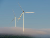 To vindturbiner som stikker opp over en tåkedekt skogli.
