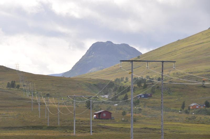 Kraftledning med trestolper gjennom kupert landskap. 