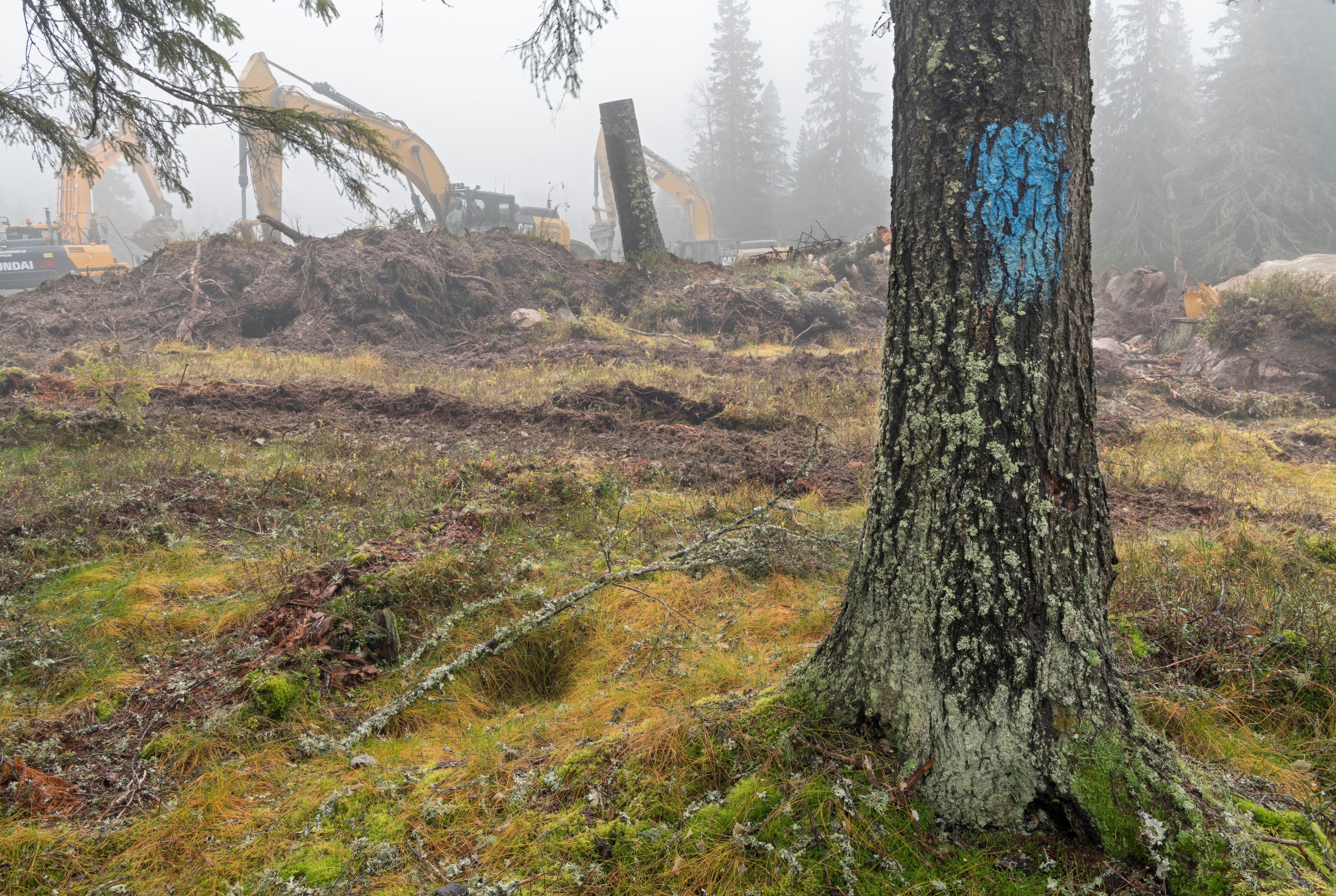 Vindkraftutbygging på Finnskogen. Bygging av Kjølberget vindkraftverk, Våler kommune, Hedmark. Anleg... (4)
