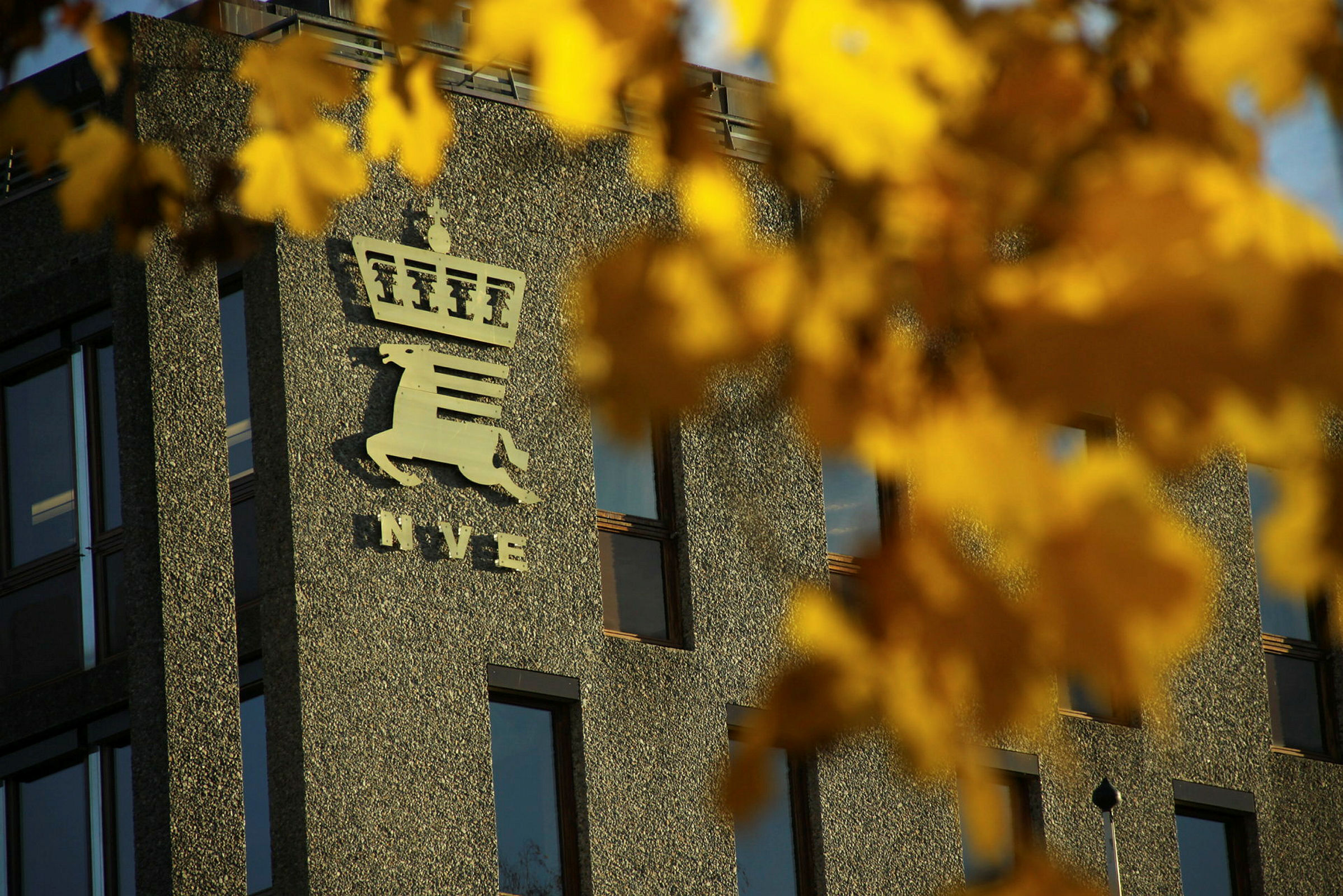 Utsnitt av kontorbygg i betong og glass med NVE-logo. En gren med blader i høstfarger i forgrunnen.  