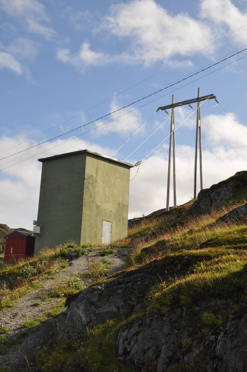 Liten transformatorstasjon og kraftmast i tre står i en skråning