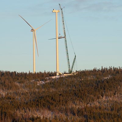 Bilde av en høy kran som heiser opp et turbinblad til en vindturbin som er under bygging på en skogkledd åsrygg.