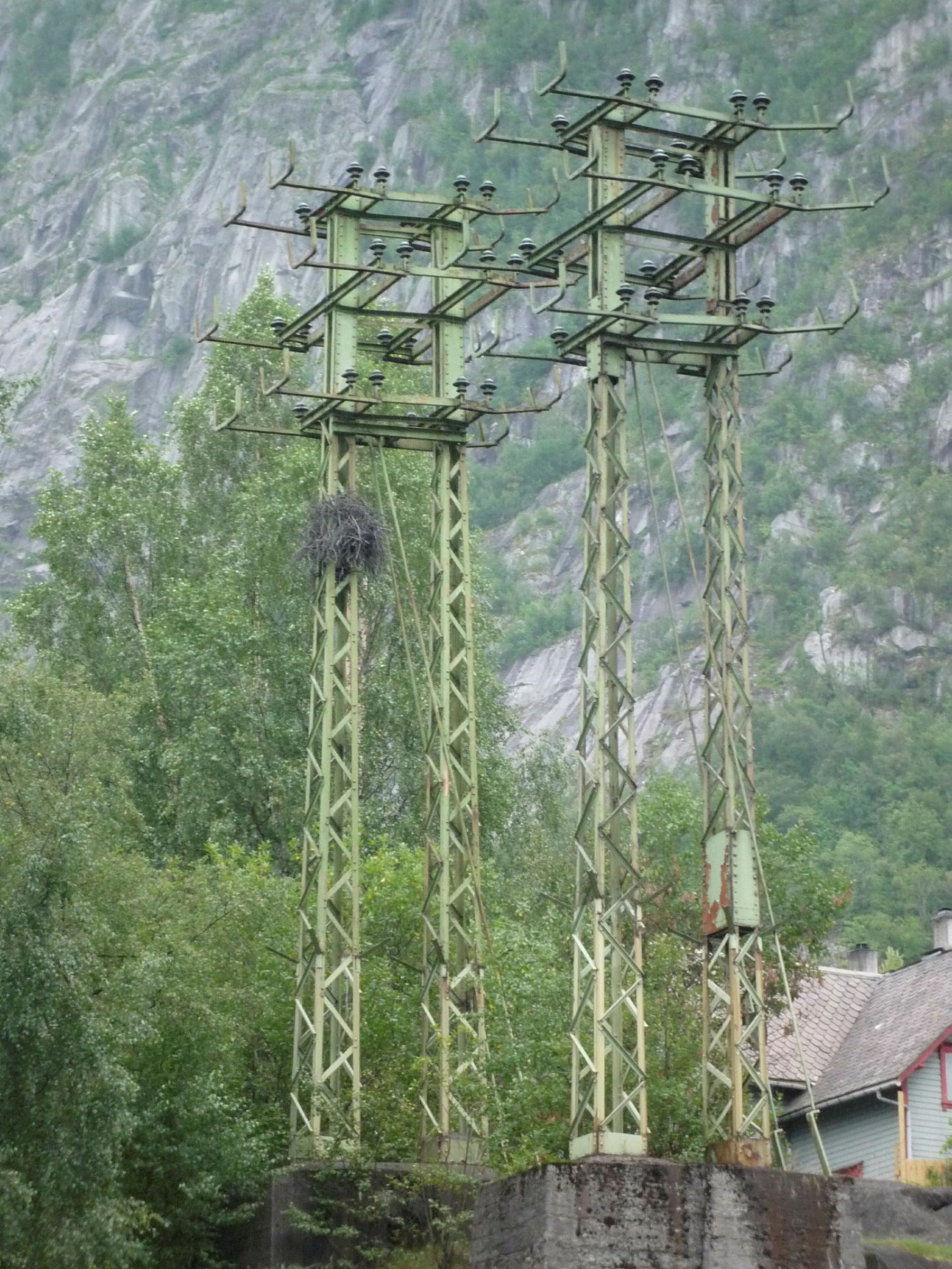 Grønne stålmaster.