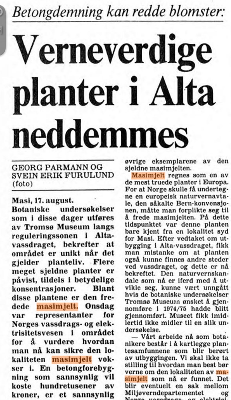 Faksimile fra Aftenposten "Verneverdige planter i Alta neddemmes"
