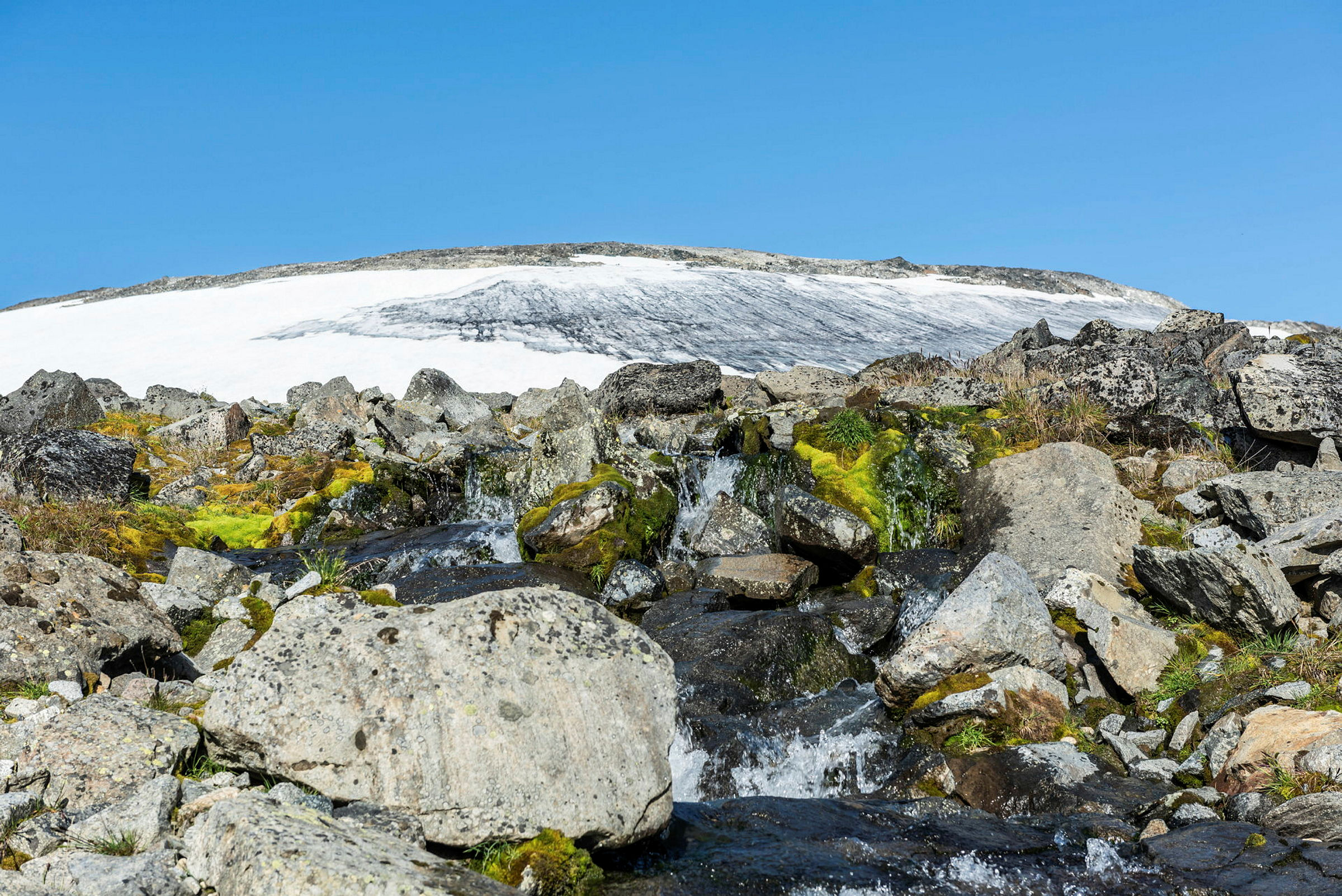 Avrenning fra Gråusbrean