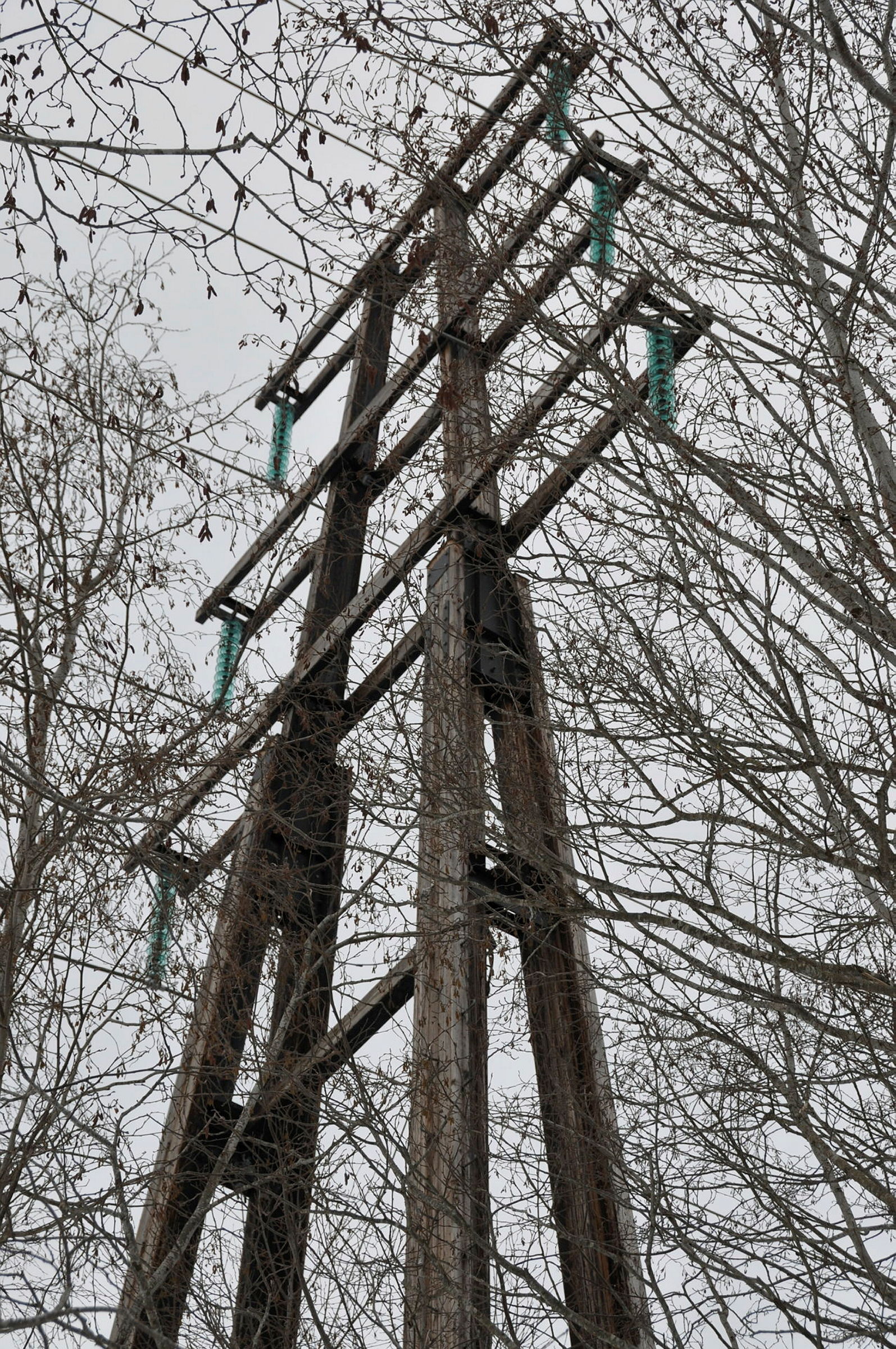 Kraftledningsmast i tre.