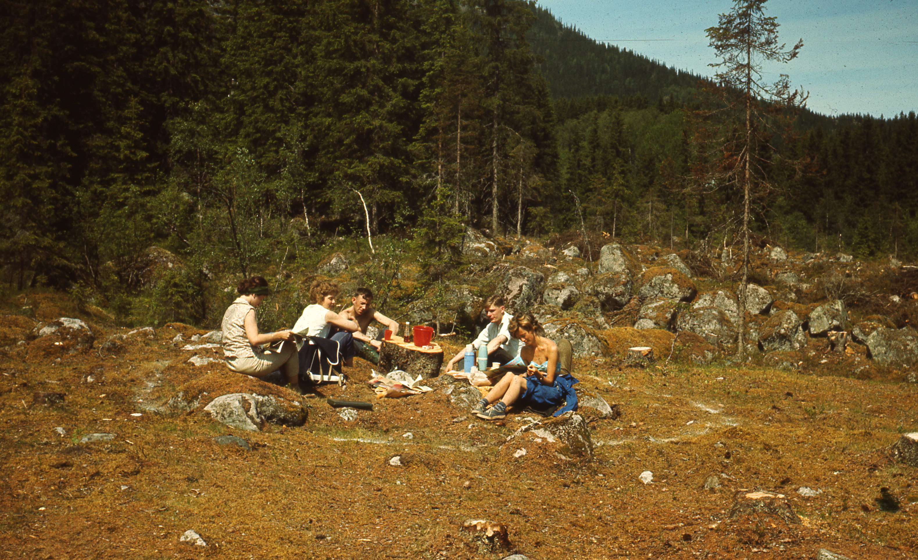 Fem personer sitter på bakken og spiser lunsj på sommeren i et ryddet skogsområde.