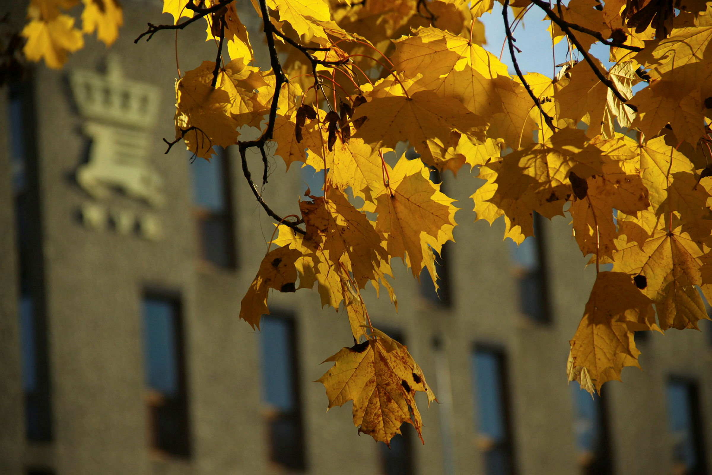 NVE-logo M29 høstfarger (1)